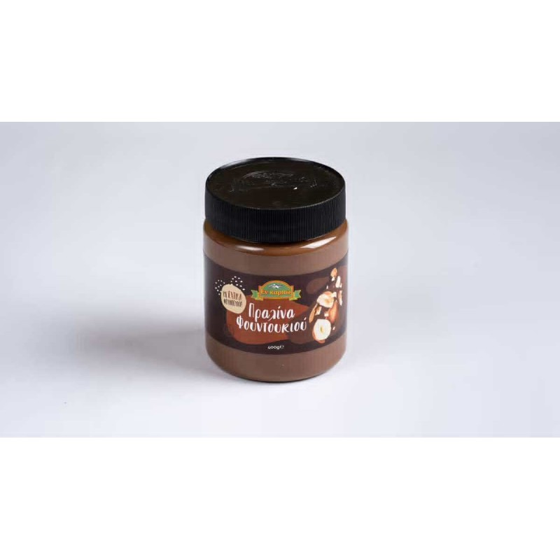 Πραλίνα φουντουκιού υγιεινή 350g